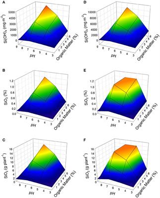 Dynamic Modeling of Silicon Bioavailability, Uptake, Transport, and Accumulation: Applicability in Improving the Nutritional Quality of Tomato